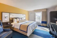 Southbank Hotel Jacksonville Riverwalk - Swimmingpools