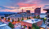 5 min to DT AVL ! Sparkling CLEAN, hip chic