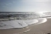 August Special Discount! Updated Oceanfront Condo with Pool - Perdido Key Beach - Beach