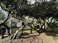 Redwood Trails & Ocean Access 5 Mins Away 제데디아 스미스 레드우즈 주립공원 주변 호텔
