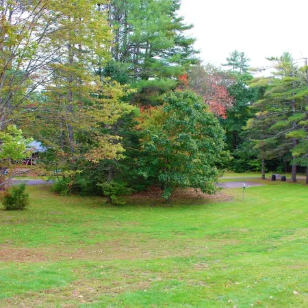 The Gnome Home Cottage located near white mountain NH