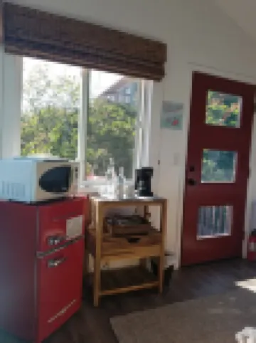 SueSea's by the Sea Shore