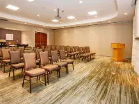 達拉斯阿林頓南萬怡酒店 阿林頓酒店