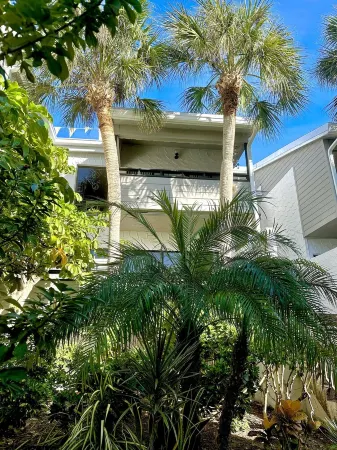 Shark Tooth Getaway Отели в г. Венис