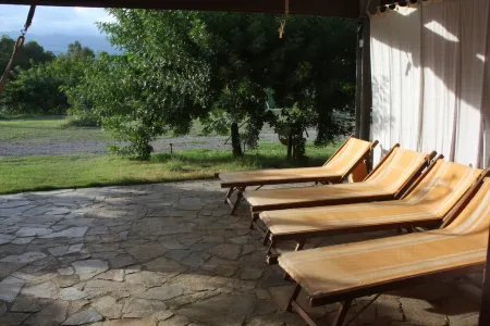 House 2 Rooms, Pool and Ancient Olive Tree - Near Sea