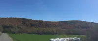 Secluded Hillside Property with Valley Views and Fishing Pond