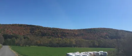 Secluded Cabin Nestled In The Trees Overlooking Fishing & Canoe Pond