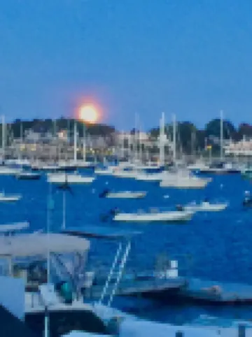 Stunning Beach Cottage just steps from Marblehead Harbor and Town