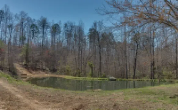 Piney Knob Lodge-15 Min to Lake Lure-30 Min to TIEC-Hot Tub -Stocked Pond-Creek