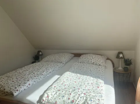 bright apartment in a secluded location with a view of nature, pets welcome