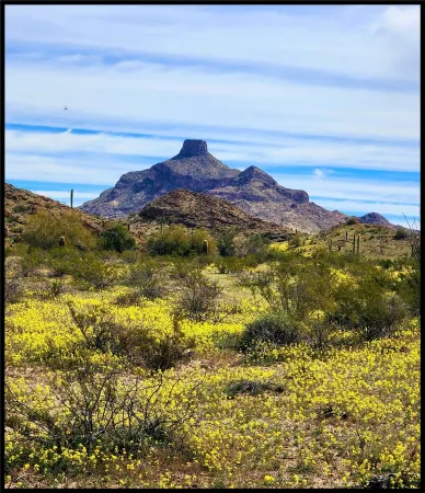 The Artists Cottage ~ Fun desert getaway Отели рядом с достопримечательностью «New Cornelia Open Pit Mining Lookout»