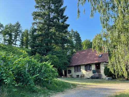 Vineyard house in Durbach in the middle of the vineyards, quiet location with feel-good character Hotels in Durbach