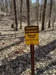 Beautiful location in the secluded woods