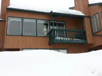 Cozy Cabin getaway Hotels in Brian Head