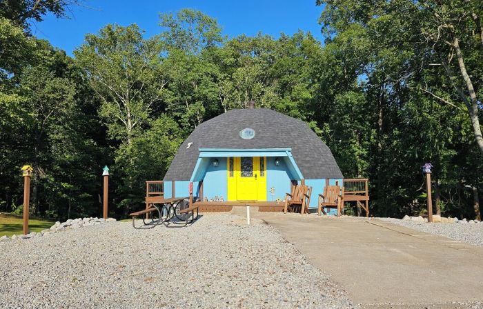 Birdhouse Paradise