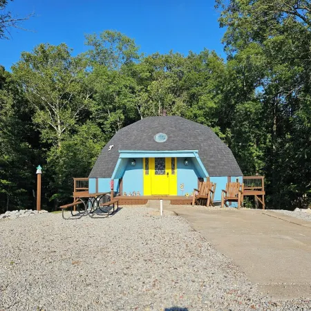 Birdhouse Paradise