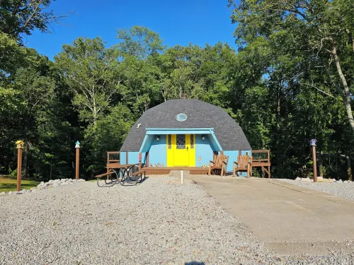 Birdhouse Paradise