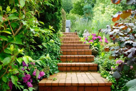 Quiet charming apartment overlooks the vineyards!