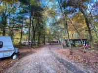 Lakeside Cabin on Beach Pond with Sauna and Beach Access Hotels in Voluntown