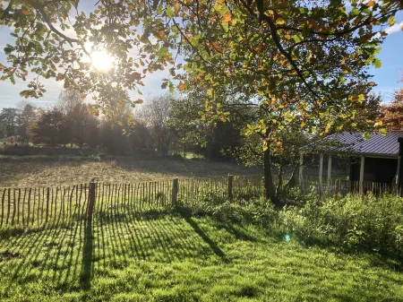 Lütje Nüst – Charming Chalet on the North Sea Отели в г. Брокмерланд