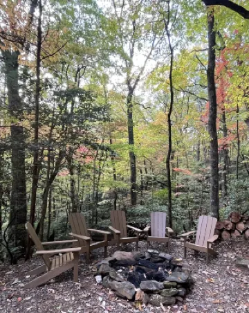 Log cabin, Blue Rdg. Mtn.,  A.T., Helton Crk falls, Vogel St. Park, near Helen