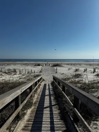 The Place to Beach for the price-Ocean Village Club-Pet friendly