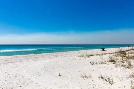 Inlet Beach Florida Private Heated Pool Beachfront Steps to Water