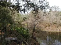 Just What You Are Looking For, Get Away From It All And Bring The Pets Too. Hotels in Ridge Manor