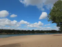 Waterfront, gorgeous sunsets, sandy beach, dogs allowed.