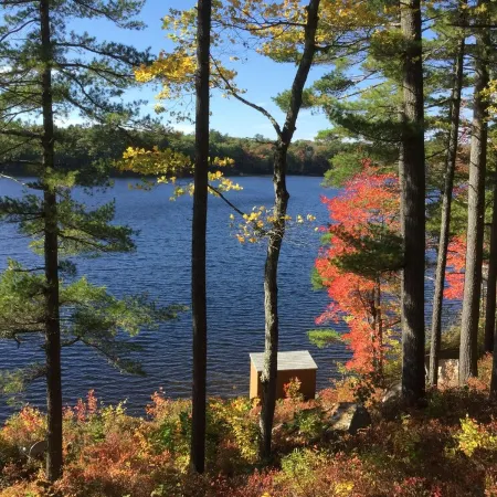 Tranquil Lakefront Cottage Near Acadia Nat’l Park.