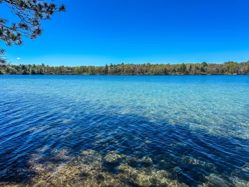 Relax and getaway from it all at Johnson's Lake retreat: Backus Bliss