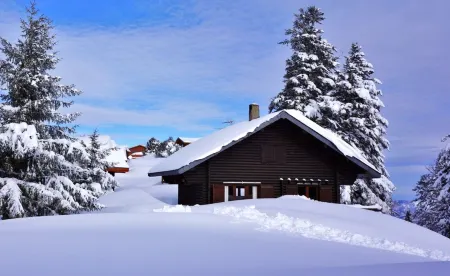 "LES RONDINS, Guzet snow chalet, direct start to slopes and hikes, panoramic view