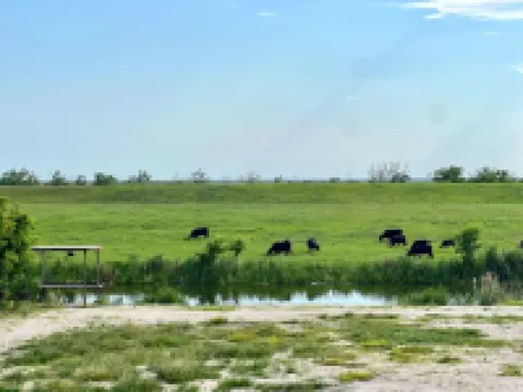 Lemonfish Lodge, Venice, sleeps 10-12