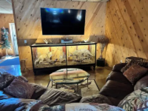 Enjoy the peace and quiet with a the beautiful country view