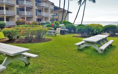 Amazing Direct Ocean Front Condo - Beautiful Sunsets, watch dolphins and whales Отели рядом с достопримечательностью «Залив Киоау»