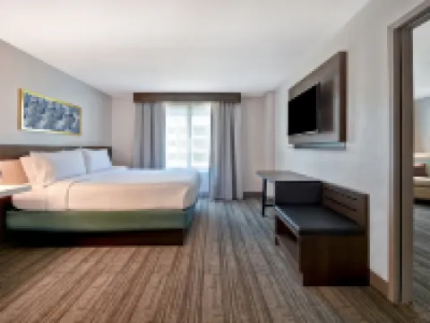 Hilton Garden Inn Houston/Galleria Area Hotels in Houston