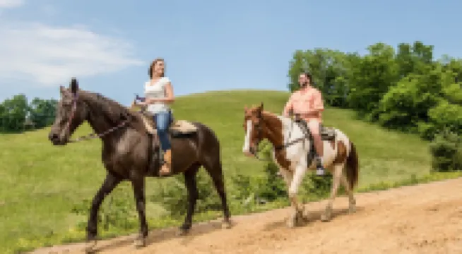 Colonial Crest Condo Unit #113