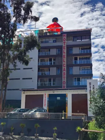 Hotel El Castor Отели в г. Пальтай