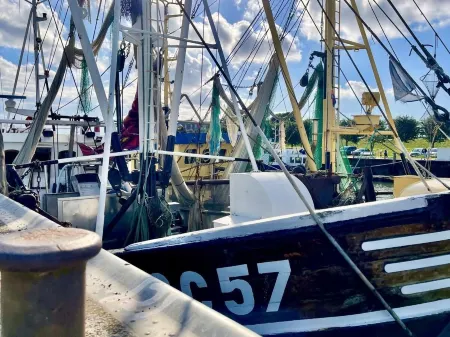 Tideland 2 Отели в г. Вестердайхштрих