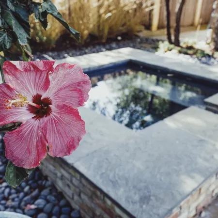 Highland Park + Dallas + SMU: Gorgeous home, pool & hot tub. BEST Location!