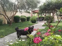 Affitacamere/Domo - Mari e Luci Hotels in Nurachi