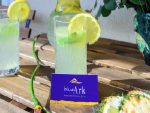 藍方舟和諧公寓 新斯米爾尼酒店