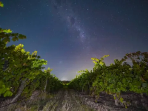Furche Barossa Vineyard & Fireplace Hotels in Nuriootpa