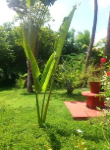 Beso del Viento (Adults Only)