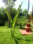 Beso del Viento (Adults Only) Hotel a Parrita