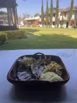 Hotel Real Campestre Tepetoci - sarapan