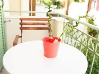Aella Studios Hotels in Lesbos