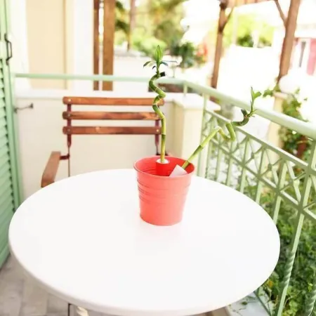 Aella Studios