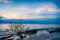 Private Pool and Outdoor Patio Escape - Charming Cozy Retreat Hotels in Marblehead