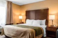 Comfort Inn Lancaster County Отели в г. Восток Донегал Тауншип